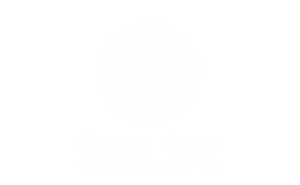 Logo State Grid 15 Anos