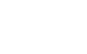 Logo Convenção Fisk 65 Anos