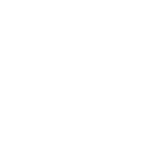 logo Vibra