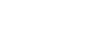 Logo SW + Suvinil Day One